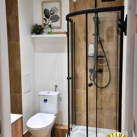Apartamenty Boleslawiec Prusa Экстерьер фото